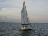 Enlarge photo 13
