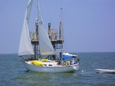 Enlarge photo 14