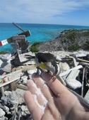 Enlarge photo 16