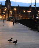 Enlarge photo 21