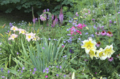 Enlarge photo 18
