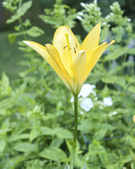 Enlarge photo 22