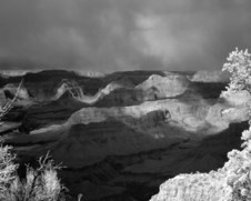 Arizona