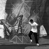 Enlarge photo 23
