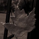 Enlarge photo 16