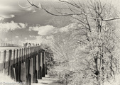 Enlarge photo 16