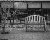 Enlarge photo 23