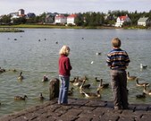 Enlarge photo 24