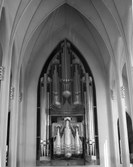 Enlarge photo 8