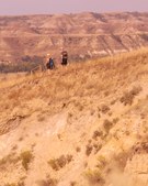 Enlarge photo 17