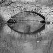 Enlarge photo 17