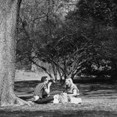 Enlarge photo 20