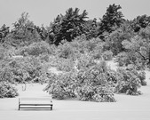Enlarge photo 23