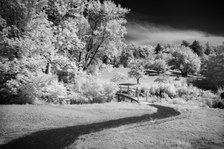 Enlarge photo 7