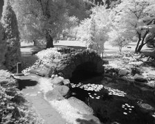 Enlarge photo 14
