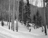 Enlarge photo 18