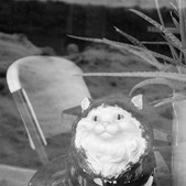 Enlarge photo 11