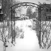 Enlarge photo 4