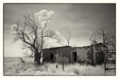 Enlarge photo 19