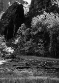 zion2013