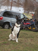 Enlarge photo 10