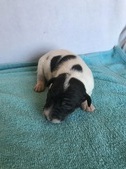 Enlarge photo 3