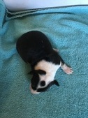 Enlarge photo 6