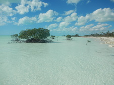 Enlarge photo 17