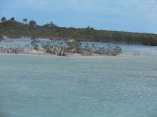 Enlarge photo 57