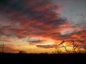 Enlarge photo 30