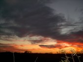Enlarge photo 31