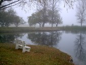 Palm Ranch