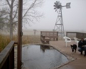 Enlarge photo 8