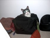 Enlarge photo 17
