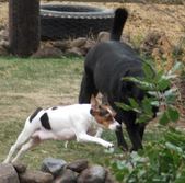 Enlarge photo 133
