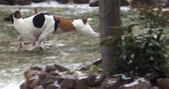 Enlarge photo 135