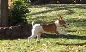 Enlarge photo 155