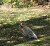 Enlarge photo 163