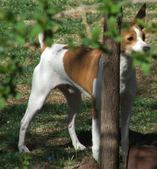 Enlarge photo 78