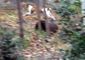 Enlarge photo 119