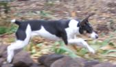 Enlarge photo 120