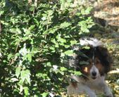 Enlarge photo 159