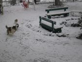 Enlarge photo 169