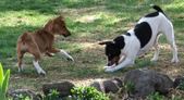 Enlarge photo 128