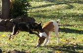 Enlarge photo 158