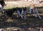 Enlarge photo 106