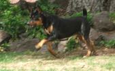 Enlarge photo 66