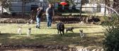 Enlarge photo 117