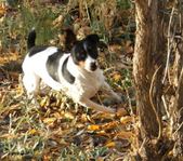 Enlarge photo 157