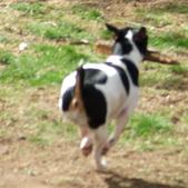 Enlarge photo 115